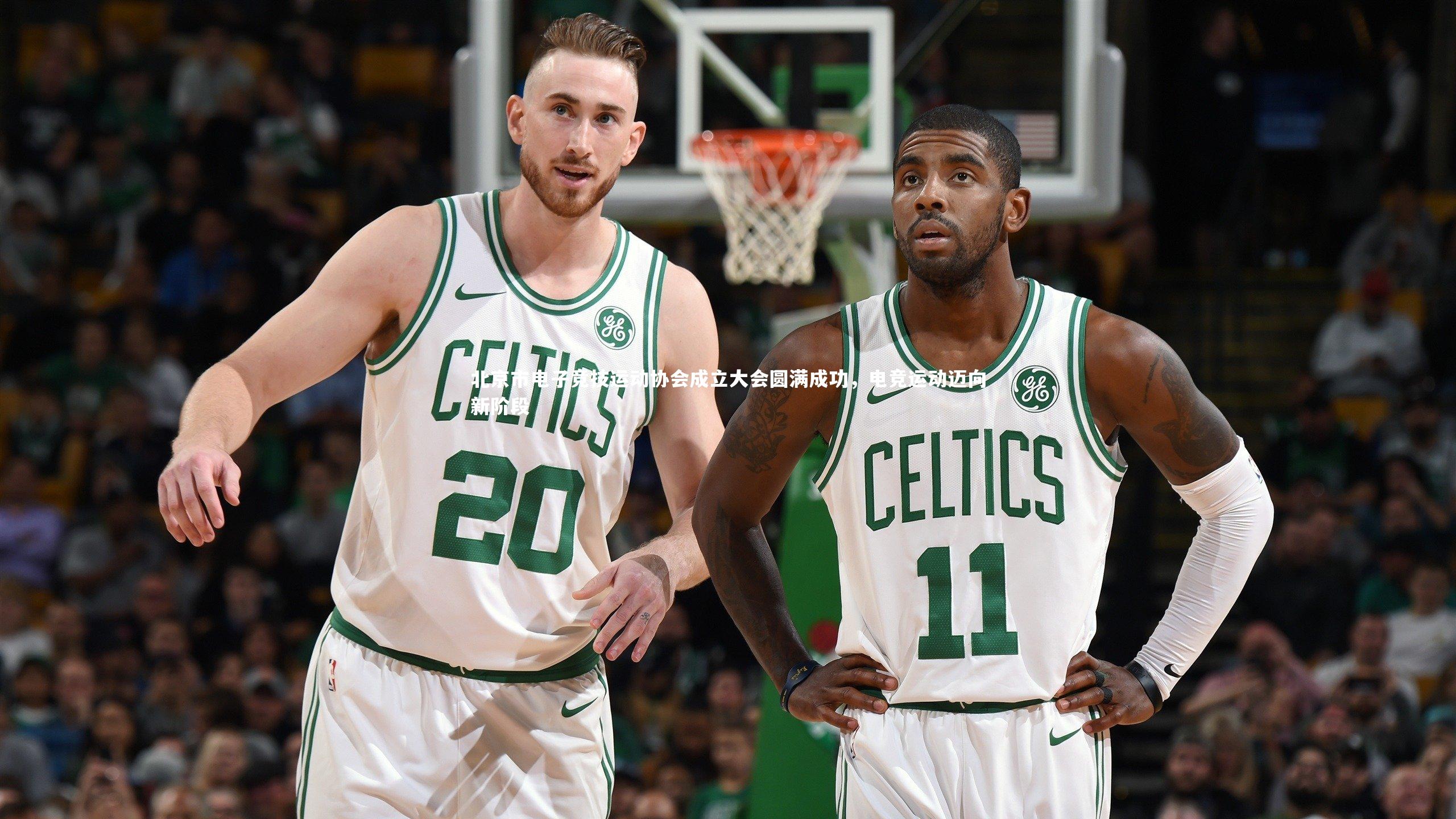 球王会体育官网-北京市电子竞技运动协会成立大会圆满成功，电竞运动迈向新阶段