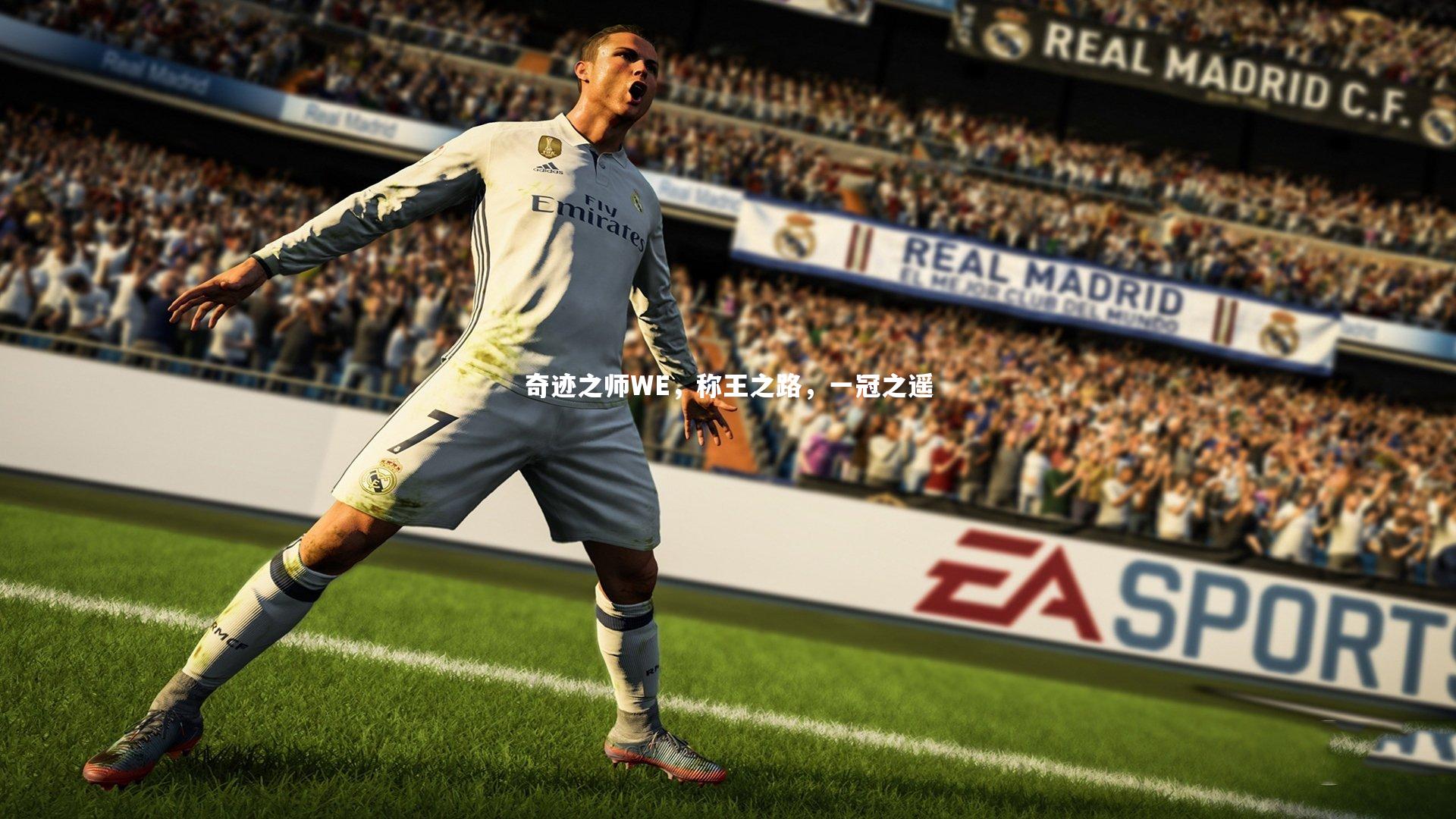 奇迹之师WE，称王之路，一冠之遥